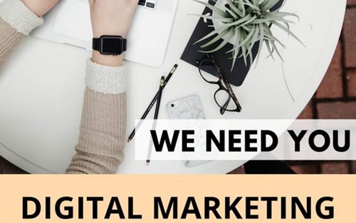 Công ty TNHH MTV ONTOP tuyển chuyên viên Digital Marketing